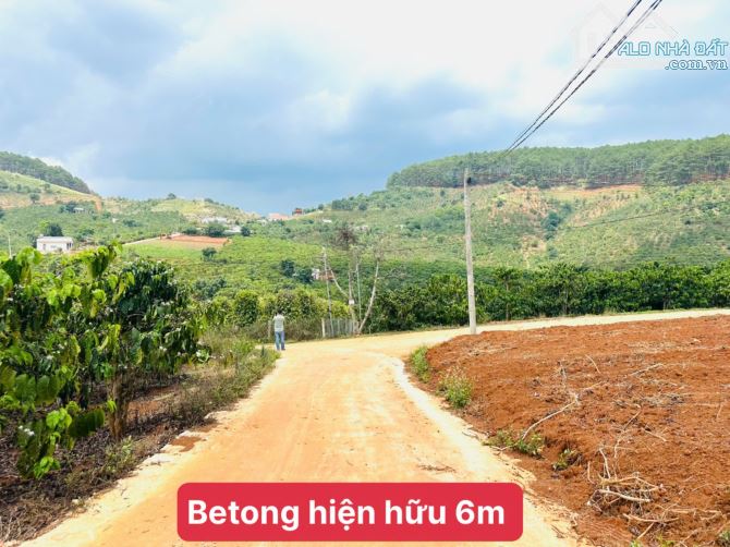 👊Bán đất Mê Linh giáp Đà Lạt 250m2 giá chỉ 699tr. - 1