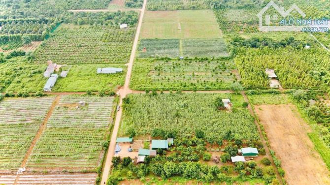 CHỈ HƠN 900tr CHO 1000m2 - ĐẤT LÀM NHÀ VƯỜN NGHỈ DƯỠNG NGAY TẠI TP BUÔN MA THUỘT - 1