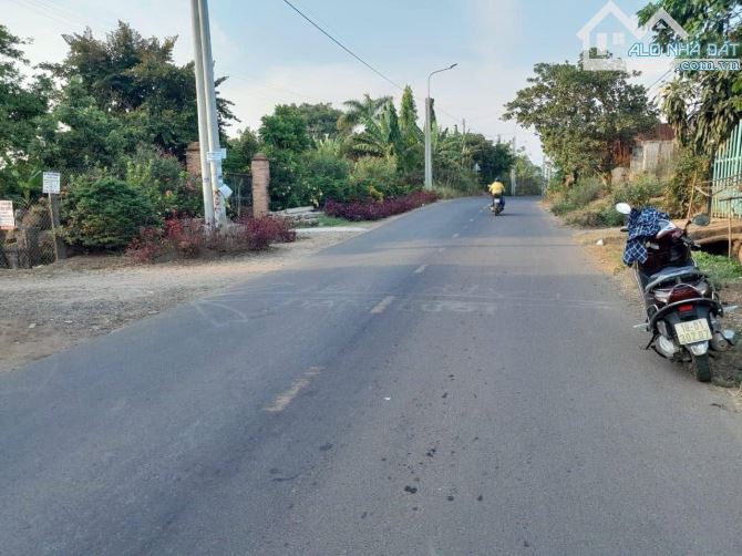 CẦN BÁN LÔ ĐẤT MẶT TIỀN NHỰA KHU DÂN CƯ 19131M2 ĐƯỜNG THÔNG TỨ HƯỚNG CHỈ 10 TY5 - 1