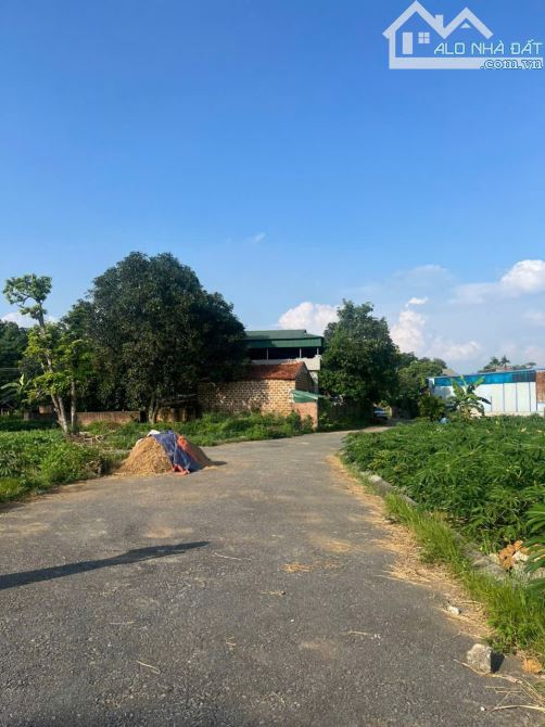 Lô góc 87,9 m, thông thoáng,nghe tên đã yên tâm ngủ ngon mỗi ngày - 1