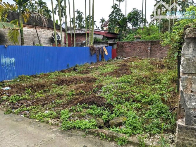 Bất động sản đẹp giá đầu tư tại Hoa Động Thuỷ Nguyên - 1