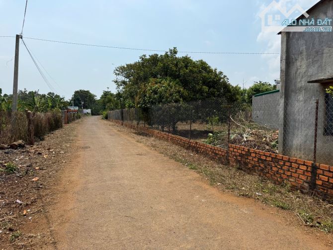 Đất 2 mặt tiền đường nhựa ngay hồ Eakao sau lưng trường tiểu học Lê Lai - 1