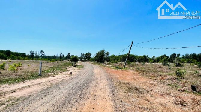 Phước Long Thọ - cổng trước khu công nghiệp Đất Đỏ- BRVT - 1
