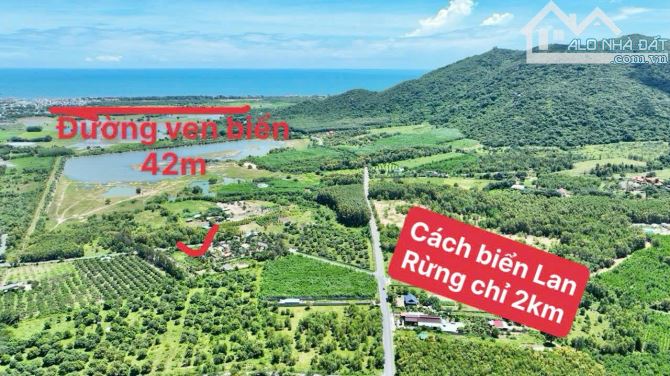 SIÊU PHẨM THỊ TRẤN PHƯỚC HẢI -  ĐỐI DIỆN HỒ SỞ BÔNG- VIEW TRỌN NÚI MINH ĐẠM - 1
