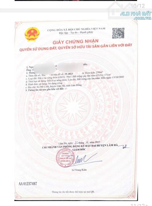 👊Bán đất Mê Linh giáp Đà Lạt 250m2 giá chỉ 699tr. - 12