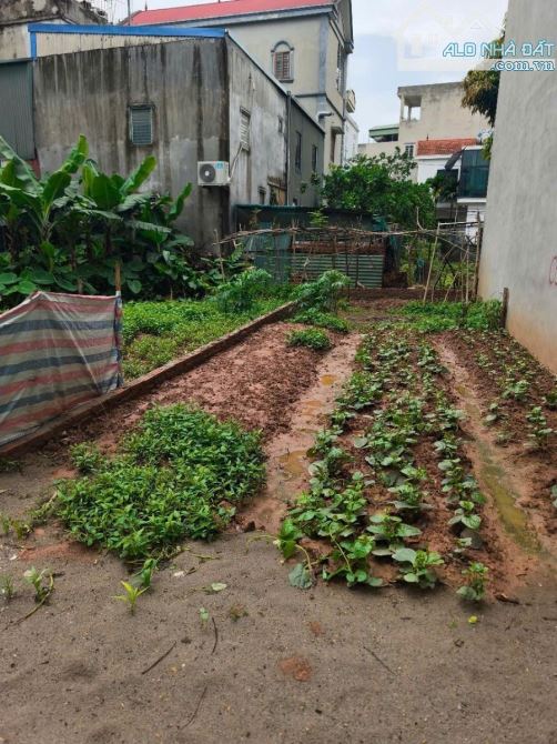 BÁN ĐẤT MẶT NGÕ GẦN PHỐ NGAY HỒ 14TỶ 50m MT 4.5m Ô TÔ 7 CHỖ ĐỖ CỬA NHẬT CHIÊU TÂY HỒ - 2