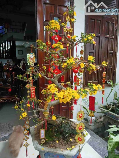 💥 BÁN NHÀ 3 TẦNG - DIỆN TÍCH 990M2 – NGANG 17M – ĐƯỜNG TRẦN QUANG KHẢI – SƠN TRÀ. - 2