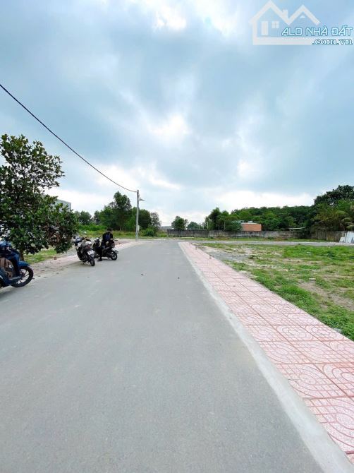 BÁN ĐẤT NGAY CÙ LAO TÂN TRIỀU, SỔ RIÊNG THỔ CƯ GIÁ CHỈ 950TRIỆU/NỀN - 2