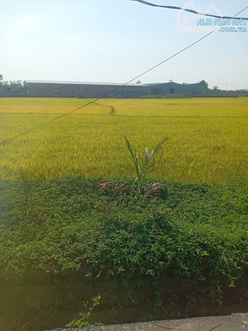 Lô đất Nhơn Thọ 1 – Hòa Phước – gần Trường Nguyễn Văn Linh - 2