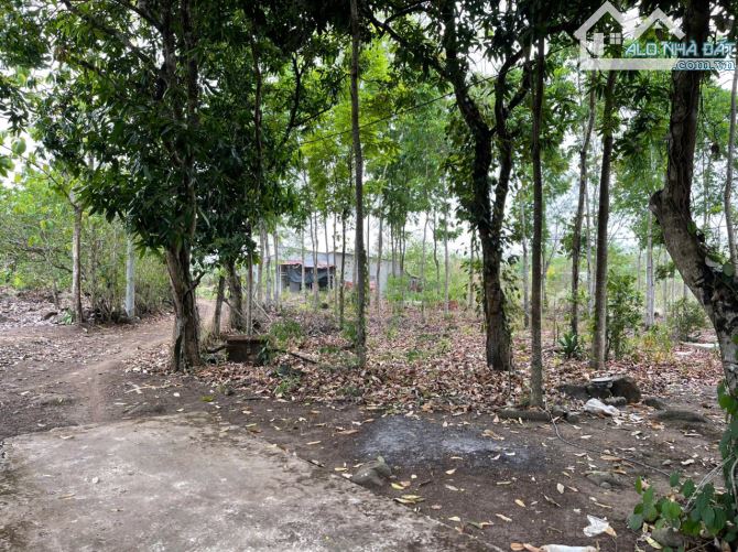 NỢ NGÂN HÀNG CẦN BÁN 2 CĂN NHÀ CẤP 4 DT: 4698M2 GẦN TỈNH LỘ 761 KHU DÂN CƯ CHỈ 2TỶ - 2