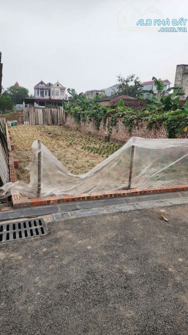 Siêu phẩm đất đẹp 98m2 vài bước ra Bìa làng Đình Trung, Xuân Nộn đường trải nhựa. - 2