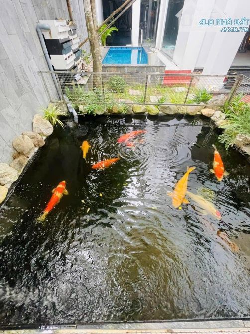 Cần bán nhanh biệt thự Phú Mỹ Thượng, Huế giá rẻ - 2