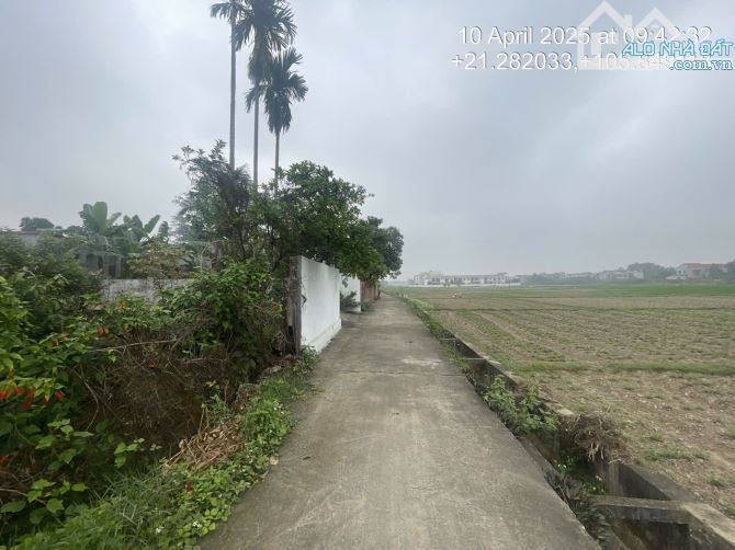 Chính chủ cần bán đất xã Phù Linh, Sóc Sơn. - 2