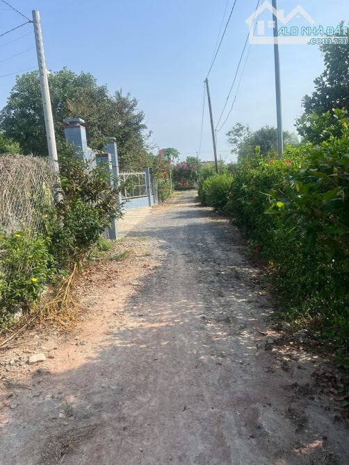 BÁN LÔ ĐẤT VƯỜN NGAY KHU DÂN CƯ NGỌC ĐỊNH 1088M2(20MX58M)  GẦN CHỢ CHỈ 390 TRIỆU - 2