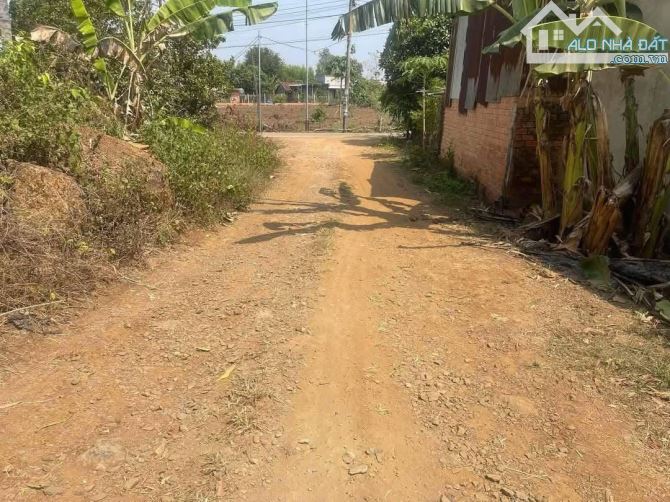 LÔ ĐẤT VƯỜN SIÊU ĐẸP GIÁ TỐT 1617M2(18MX94M) KHU DÂN CƯ GẦN SÔNG ĐỒNG NAI CHỈ 430 TRIỆU - 2