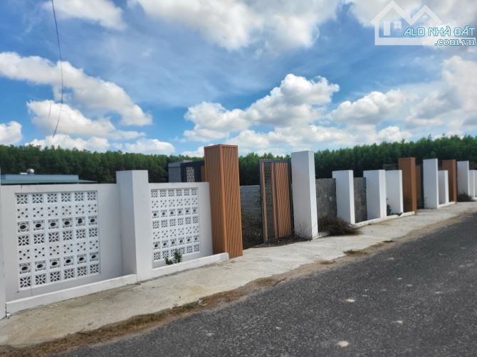 Đất Vàng Gần 44B Long Mỹ, Phước Hải 6 Lô 216m² Giá Chỉ 1,7 Tỷ/Lô Mua Ngay! - 2