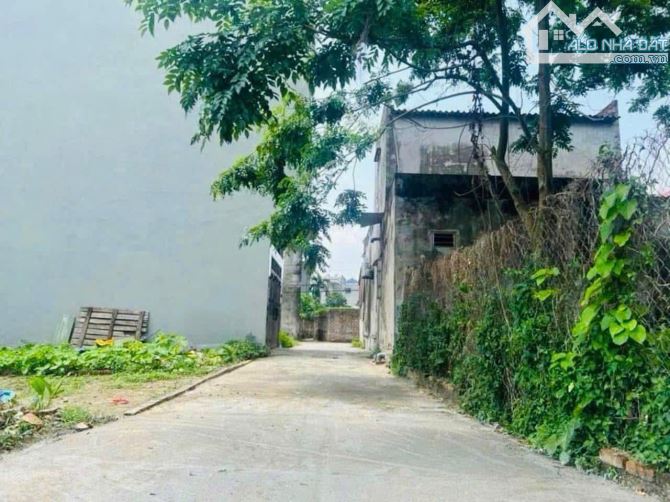 BÁN ĐẤT THỔ CƯ SẴN SỔ TẠI XUÂN NỘN-ĐÔNG ANH - 2