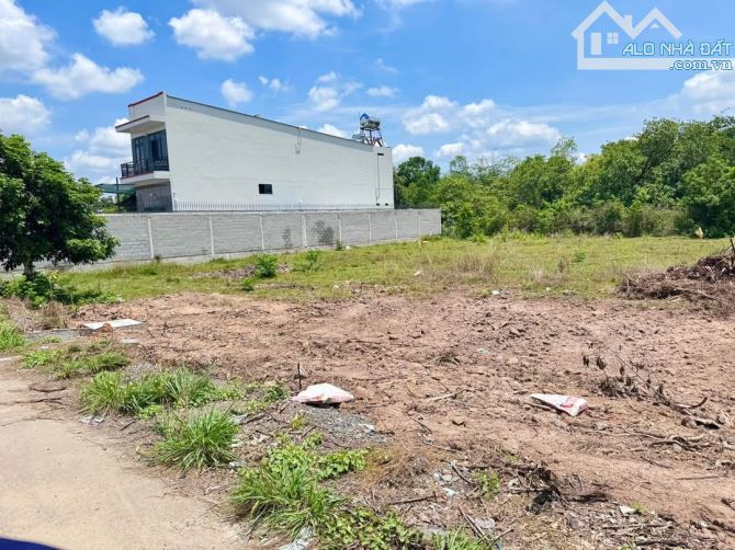 Bán lô đất 232m2 ngay chợ Việt Kiều, Củ Chi. - 2