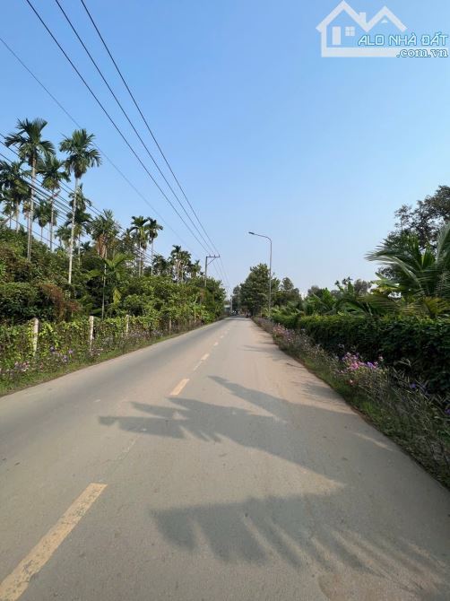 Lô Đất Mặt tiền đường An Sơn 02, Sát Bên Đường Vành Đai 3 Đang Thi Công - 2