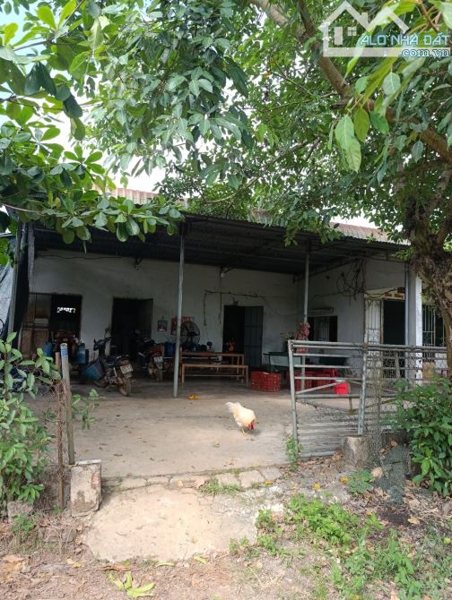 CẦN BÁN LÔ ĐẤT MẶT TIỀN NHỰA KHU DÂN CƯ 19131M2 ĐƯỜNG THÔNG TỨ HƯỚNG CHỈ 10 TY5 - 2