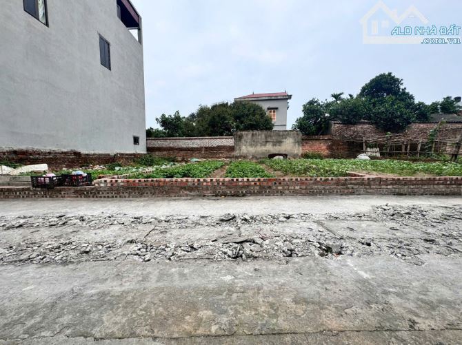 Chủ nhà nhờ bán lô đất cách bìa làng 10m tại Xuân Nộn, Xuân Nộn, Đông Anh, HN - 2