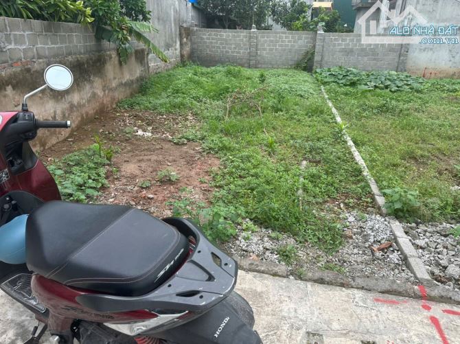 ĐẤT THỔ CƯ TỔ 2 TIỀN PHONG TP THÁI BÌNH - 2