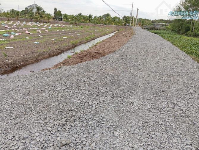 Đất vườn Bình Đức 1000m2 990triệu đường xe tải Bến Lức Long An - 2