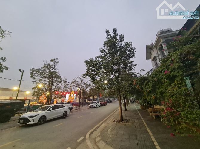 Bán đất thôn đông- tàm xá- đông anh, diện tích 86m2- giá 10.9tỷ, ô tô vào tận đất - 1