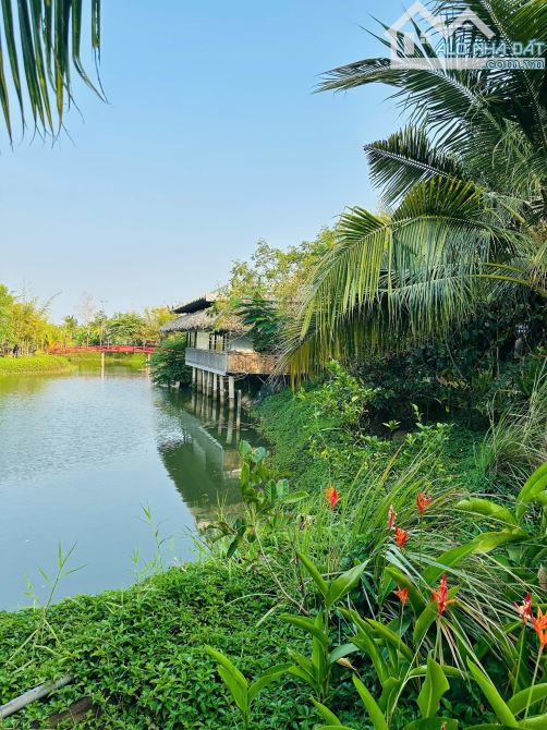 ❌❌❌FARM STAY 1 MẪU 1 GẦN HỒ TRÀM CẦN CHUYỂN NHƯỢNG - 2