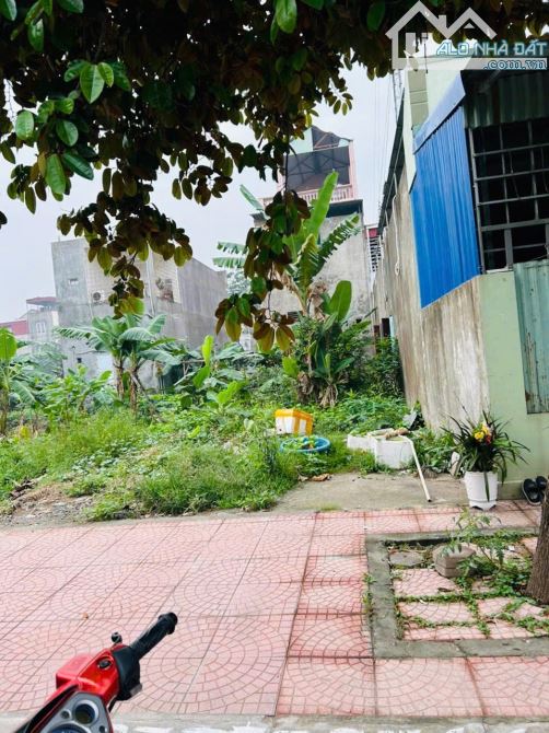❌Siêu phẩm chung cư Lương Quán, Nam Sơn , An Dương 97,5m ngang 5m chỉ 2,75 tỷ - 2