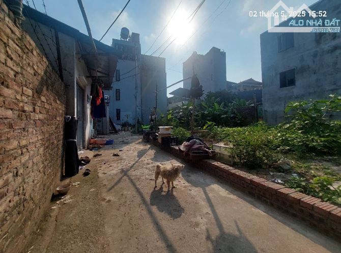 Đất Mai Lâm 95.2m2, mt9m, 7.45 tỷ, 3 thoáng, Đông Anh - 2