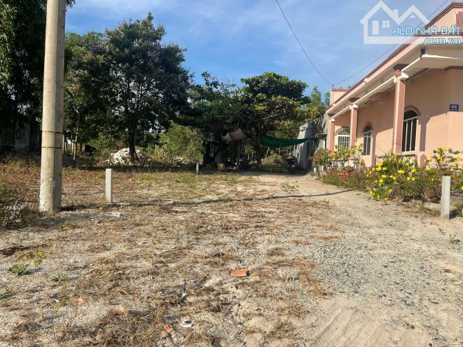 Bán đất mặt tiền Trưng Trắc - Tân An - TX LaGi giá mềm 1.6 tỷ sổ riêng - 3