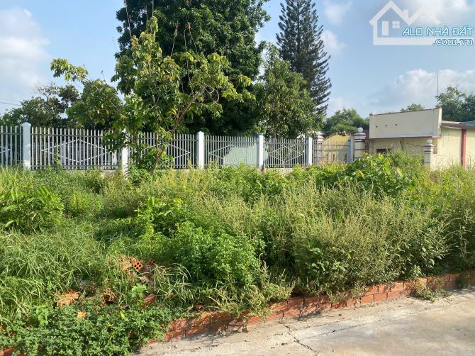 Bán lô đất thổ cư 2 mặt tiền ngay UBND P.Định Hòa giá chỉ 1,450 tỷ - 3