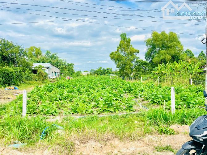 Đất 3.266m2 Thổ Cư 2.393m2 xã Hòa Phú gần KCN Đông Nam, đường xe Tải chạy thông các hướng - 3