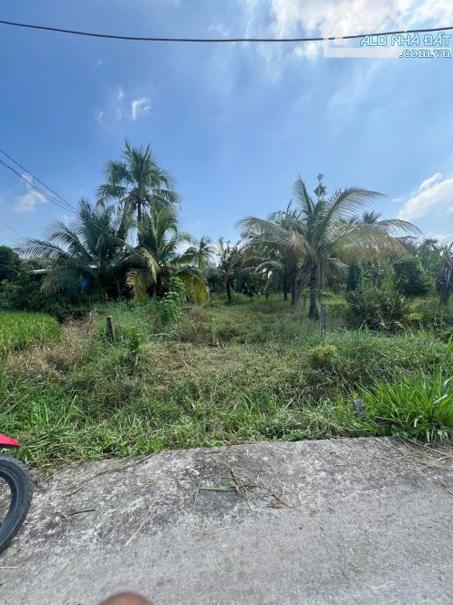 Bán đất MT Nguyễn Văn Lũy 5x27 giá 400tr Bình Trinh Đông Tân Trụ Long An - 3