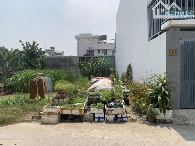 BÁN GẤP LÔ ĐẤT 100M2 - TÂN HIỆP - HÓC MÔN - GIÁ ĐẦU TƯ - GỌI CHO EM XEM ĐẤT - 3