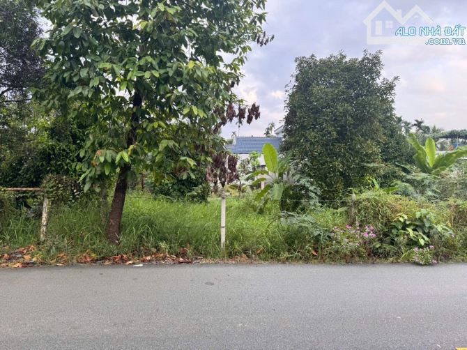 Lô Đất Mặt tiền đường An Sơn 02, Sát Bên Đường Vành Đai 3 Đang Thi Công - 3