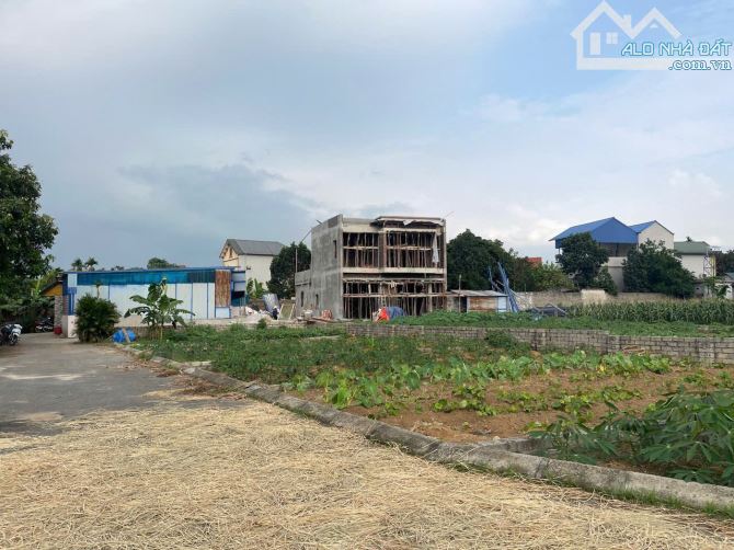 Lô góc 87,9 m, thông thoáng,nghe tên đã yên tâm ngủ ngon mỗi ngày - 3