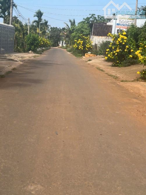 Đất xã Hoà Thắng hẻm cấp 1 đường Đại Lộ Đông Tây - 3