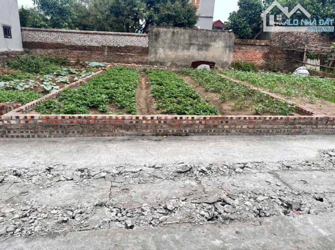 Chủ nhà nhờ bán lô đất cách bìa làng 10m tại Xuân Nộn, Xuân Nộn, Đông Anh, HN - 3