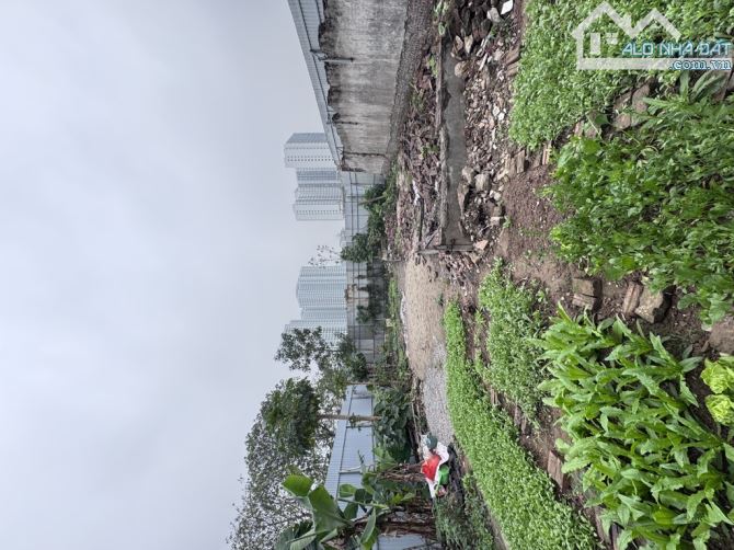 SIÊU PHẨM ĐẤT ĐỎ FULL THỔ CƯ – VIEW TỶ ĐÔ – TÀI SẢN ĐỂ LẠI CHO ĐỜI! - 3