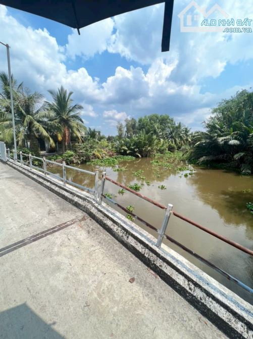 Đất vườn Bình Đức 1000m2 990triệu đường xe tải Bến Lức Long An - 3