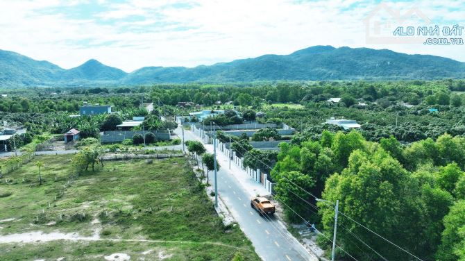 VƯỜN XOÀI THỊ TRẤN PHƯỚC HẢI- GẦN BIỂN PHƯỚC HẢI - LONG ĐẤT - BRVT - 3