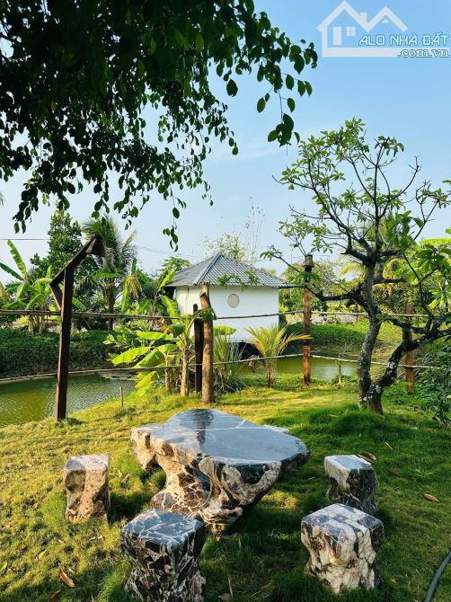 ❌❌❌FARM STAY 1 MẪU 1 GẦN HỒ TRÀM CẦN CHUYỂN NHƯỢNG - 3