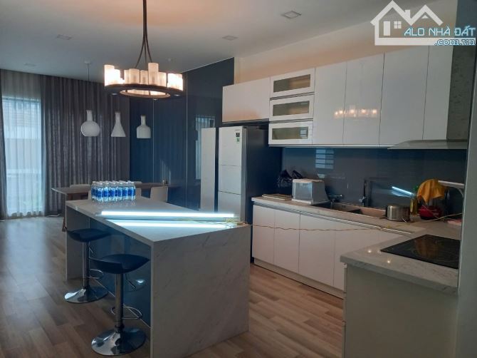 Bán gấp Villa mini ngay Phố phụ khiện Nguyễn Tri Phương -3/2  Giá:23 tỷ. - 3