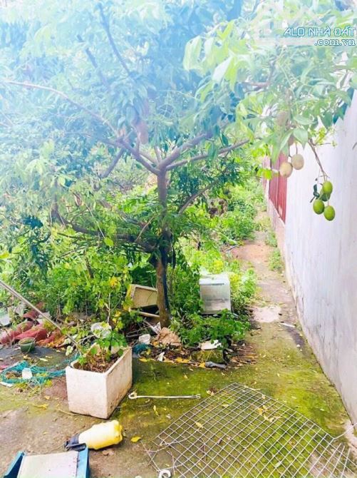 Bán căn nhà 250m2 vị trí 2 Bùi Trọng Nghĩa Thuộc KP3 Trảng Dài _Tp Biên Hoà - 4