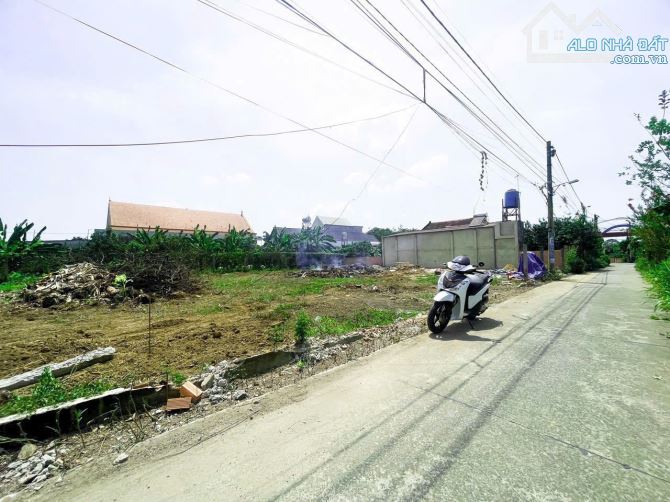 Đất đầu tư gần cầu bạch đằng 2 gần trung tâm thạnh phú - 4