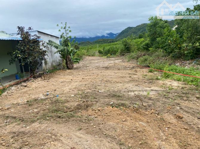 Bán đất Khánh Bình giá rẻ sẵn thổ cư mặt đường liên thôn rộng 7m - 4