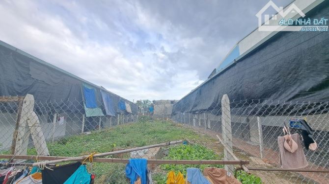 10x37m Giá Rẻ – Nguyễn Tri Phương, Dĩ An – Xây CHDV hoặc Biệt Thự Ngay! Giá 10.2 TỶ - 4