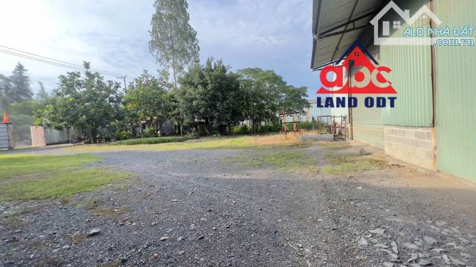 XT258 Cho thuê xưởng trên thửa đất Rộng 5500m2. CÓ PHÒNG SƠN TĨNH ĐIỆN - 4